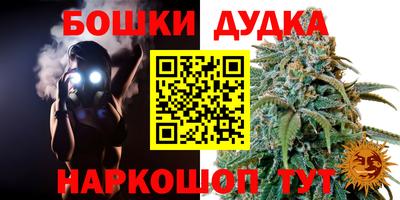 a pvp Краснознаменск