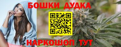 сатива Краснодар
