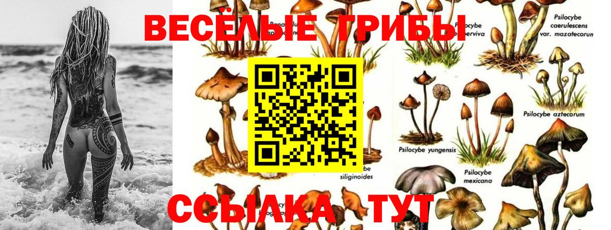 Дербент  Галлюциногенные грибы мухоморы  Вход с VPN 