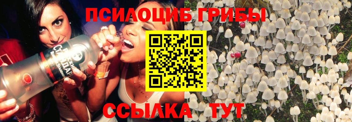 Псилоцибиновые грибы Magic Shrooms Дербент